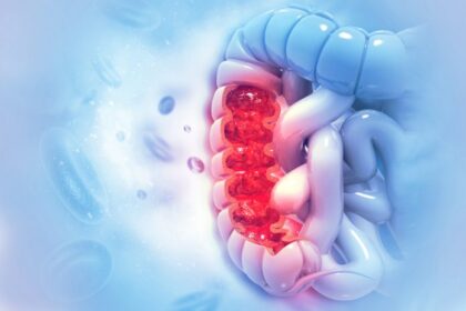 How Glucose–Fructose-Laden Drinks