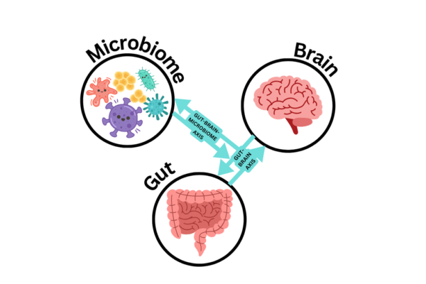 The Gut-Brain Reckoning