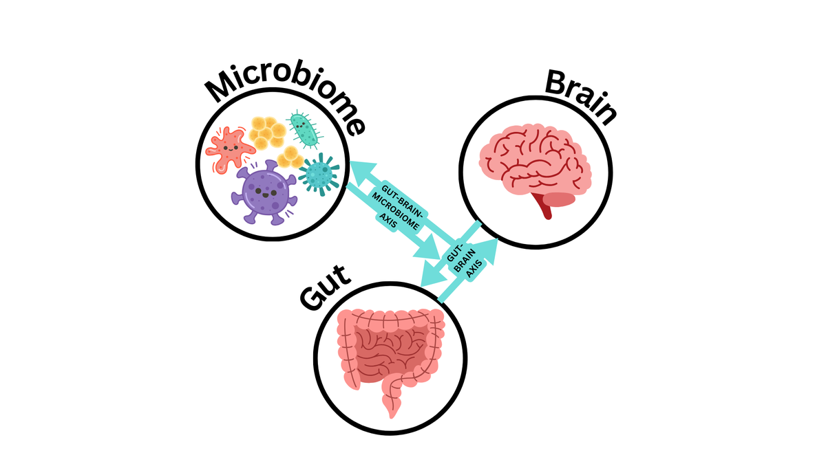The Gut-Brain Reckoning