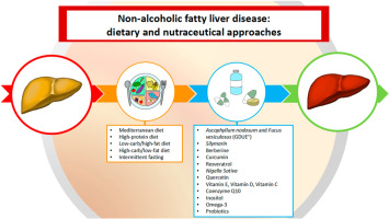 Non-Alcoholic Fatty Liver Disease
