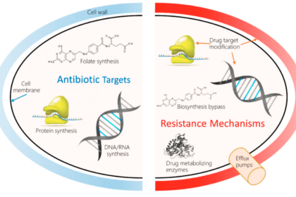 Rising Antibiotic Resistanc