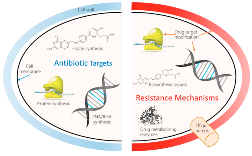 Rising Antibiotic Resistanc