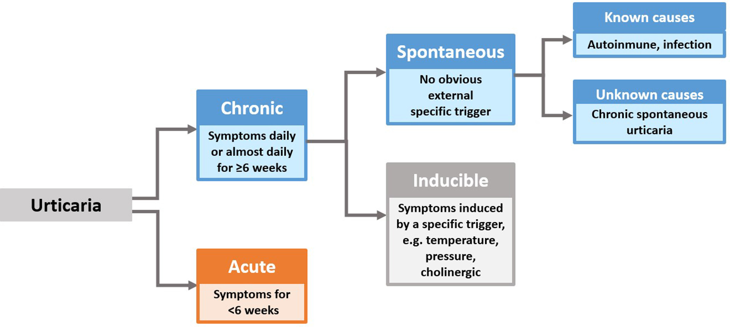 Patient Preferences in Chronic Urticaria Treatments